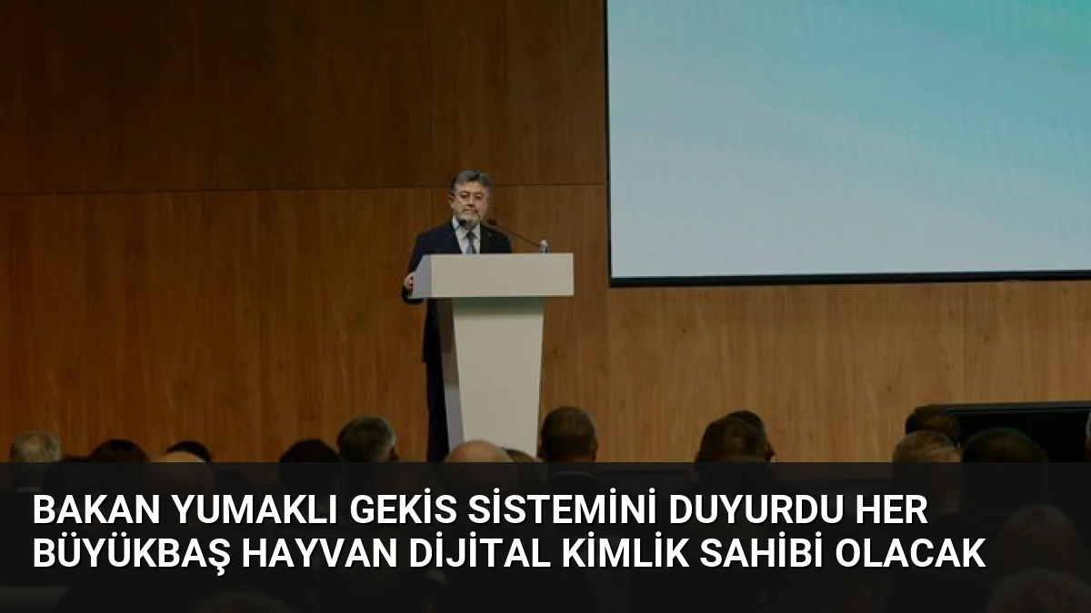 Bakan Yumaklı GEKİS Sistemini Duyurdu Her Büyükbaş Hayvan Dijital Kimlik Sahibi Olacak