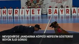 Nevşehir’de Jandarma Köpeği Nefes’in Gösterisi Büyük İlgi Gördü